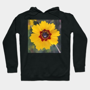 Impression of a Wildflower Hoodie